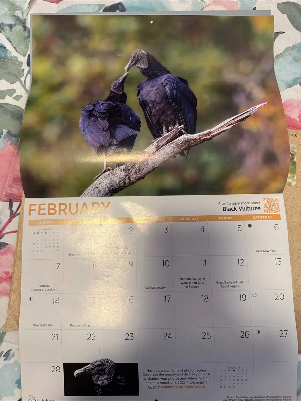 Protecting Birds and Nature 2027 Calendar